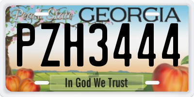 GA license plate PZH3444