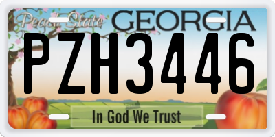 GA license plate PZH3446