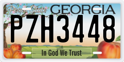 GA license plate PZH3448