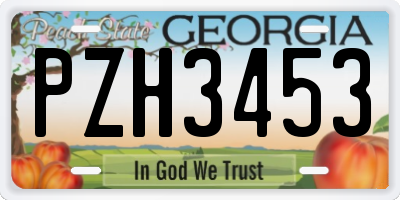GA license plate PZH3453