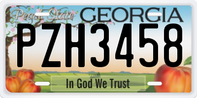 GA license plate PZH3458