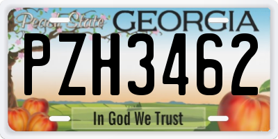 GA license plate PZH3462