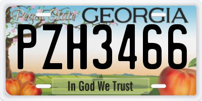 GA license plate PZH3466