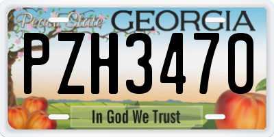 GA license plate PZH3470