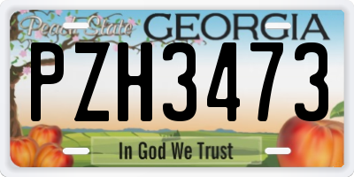 GA license plate PZH3473