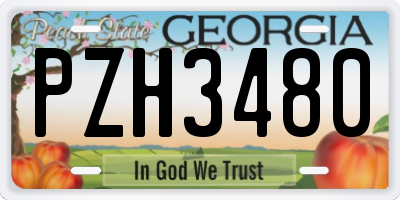 GA license plate PZH3480