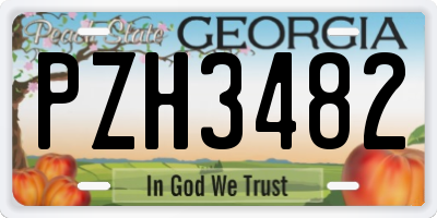 GA license plate PZH3482