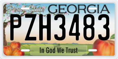 GA license plate PZH3483