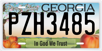 GA license plate PZH3485