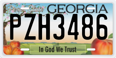 GA license plate PZH3486