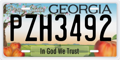 GA license plate PZH3492