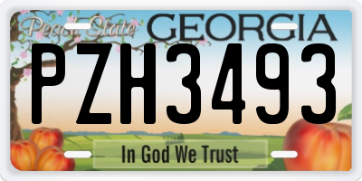 GA license plate PZH3493