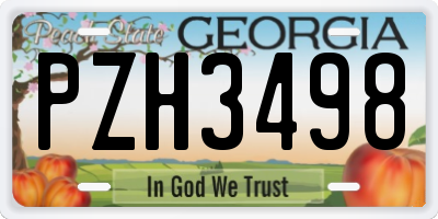 GA license plate PZH3498