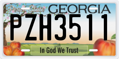 GA license plate PZH3511
