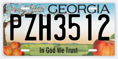 GA license plate PZH3512