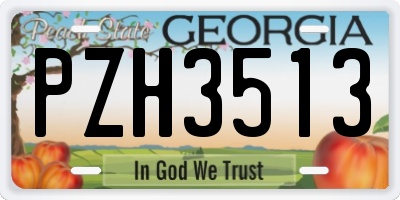GA license plate PZH3513