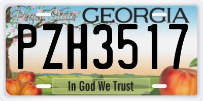 GA license plate PZH3517