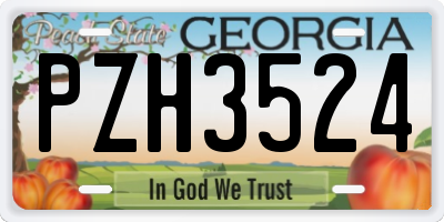 GA license plate PZH3524