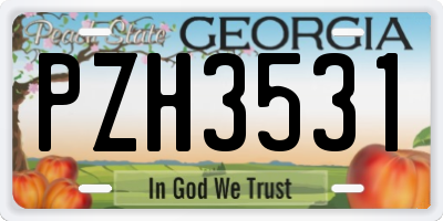 GA license plate PZH3531