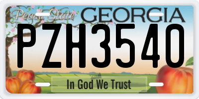 GA license plate PZH3540
