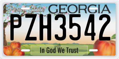 GA license plate PZH3542