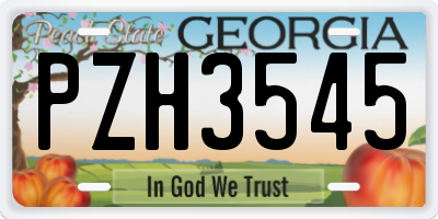 GA license plate PZH3545