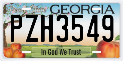GA license plate PZH3549