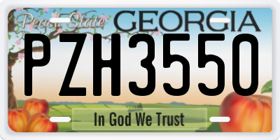 GA license plate PZH3550