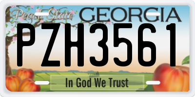 GA license plate PZH3561