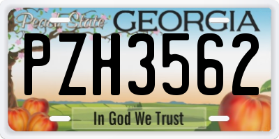 GA license plate PZH3562