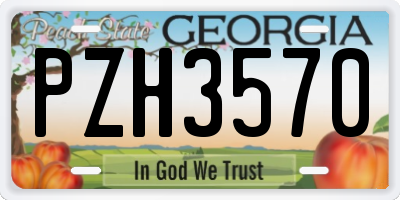 GA license plate PZH3570