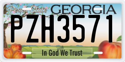 GA license plate PZH3571