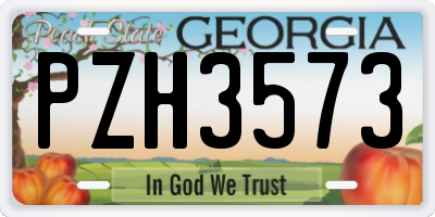 GA license plate PZH3573