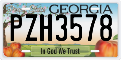 GA license plate PZH3578