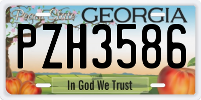 GA license plate PZH3586