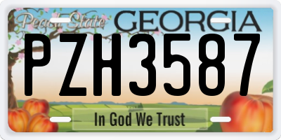GA license plate PZH3587
