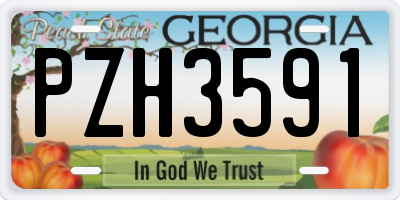 GA license plate PZH3591