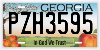 GA license plate PZH3595