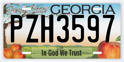 GA license plate PZH3597