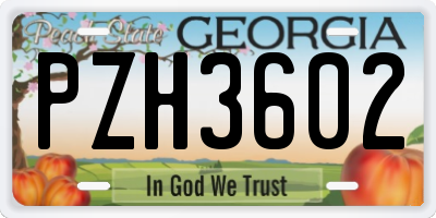 GA license plate PZH3602