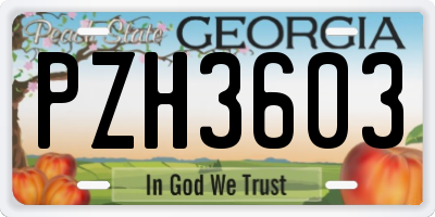 GA license plate PZH3603