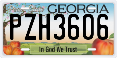 GA license plate PZH3606