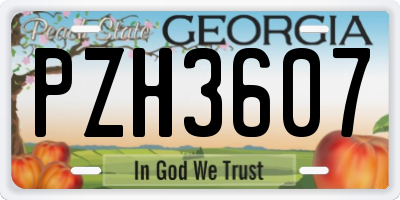 GA license plate PZH3607