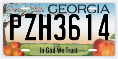 GA license plate PZH3614