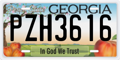 GA license plate PZH3616
