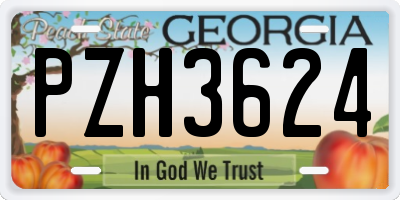GA license plate PZH3624
