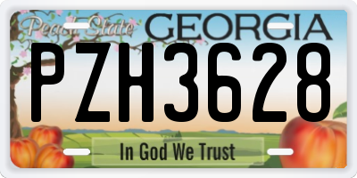 GA license plate PZH3628