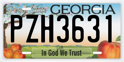 GA license plate PZH3631