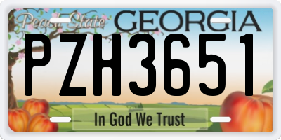 GA license plate PZH3651