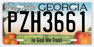 GA license plate PZH3661